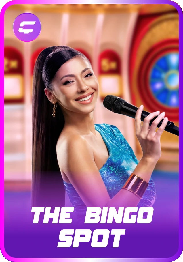 The Bingo Spot