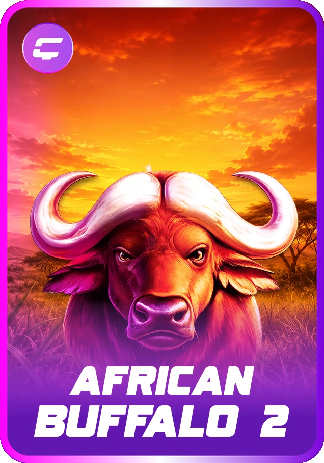 African Buffalo 2